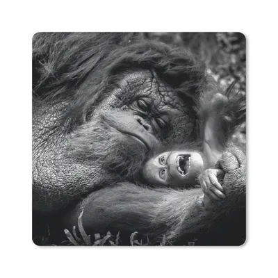 Produktbild von MuchoWow® Mauspad Mousepad Liebender Orang-Utan mit Jungtier in Schwarz und Weiß 20x20 cm - Mousepads - Maus Mat - Pad - Mausunterlage - Desk Mat - Bureauartikeln
