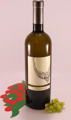 Produktbild von Chardonnay Profil - 2021 - Weinmanufaktur Profil Roberto Ferrari