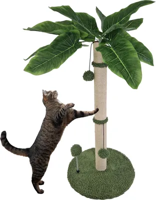 Produktbild von Kratzbaum Palme 85 cm Höhe mit Frottee & Sisal Kratzsäule zum Krallen wetzen Spielen Klettern