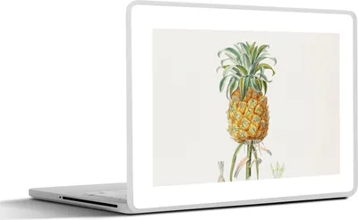 Produktbild von MuchoWow® Laptop Aufkleber Sticker Cover Ananas - Obst - Vintage 40x30 cm - Laptop Dekoration - Selbstklebend