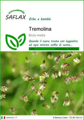 Immagine prodotto di SAFLAX  - Tremolina - 75 semi - Briza