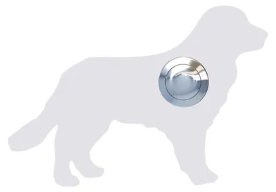 Produktbild von Türklingel Hund ''Balu'' in Weiß