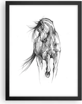Produktbild von Gerahmtes Poster - Schwarzer Rahmen - Pferd Galopp Tier - 30x40 cm - Wand Bild - Wanddeko - Wandbilder - Kunstposter - Wandposter - Bilderrahmen - Bilder - Kunstdruck - P2BPA30x40-5080