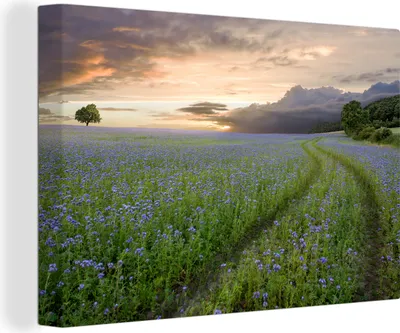 Produktbild von OneMillionCanvasses® - Leinwandbilder - 150x100 cm, Sonnenuntergang - Blumen - Farben, Wandbilder Kunstdruck Wanddekoration