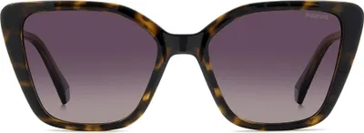 Produktbild von Polaroid 4189/S Sonnenbrille Damen Polycarbonat Braun 53-18-140