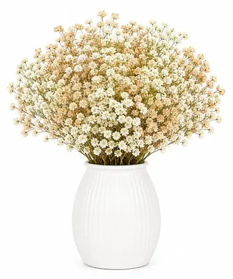 Getrocknete Gypsophila-Blüten, 100 Stück, Mini-Weiß, für Dekorationen