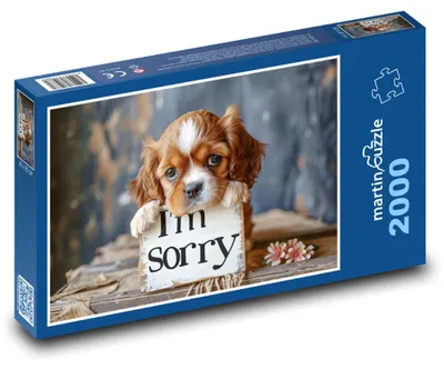 Zdjęcie produktu dla martinpuzzle - Puzzle 2000 - Obrazek z przeprosinami