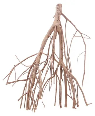 Produktbild von Aquarium Talawa Wurzel 50x25x61 cm (LxBxH) filigran, gradlinige Verzweigungen, nicht vorgewässert, Unikat