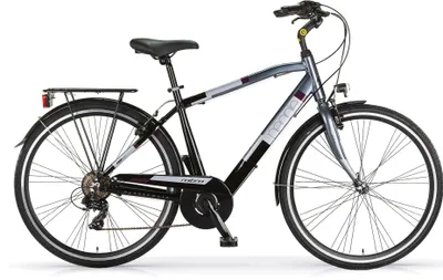 Produktbild von Citybike 28 Zoll  "New People" Man