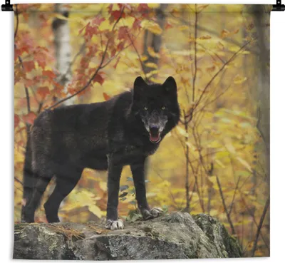 Produktbild von MuchoWow® Wandteppich Wandbehang Wolf - Fels - Baum 150x150 cm Tapisserie Dekoration Wandtuch - Wohnaccessoires - Modernes