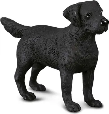 Immagine prodotto di Collecta 88076 Cane Labrador 9 cm Cani e gatti