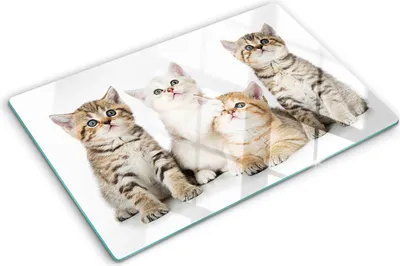 Produktbild von Tulup Glas Herdabdeckplatte - 80x52 cm - Glaskeramikkochfeld-Abdeckung Spritzschutz Glasabdeckplatte - Einteilig - Tiere - Kleine Katzen - Braun