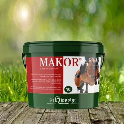 A bucket of horse feed is shown in front of a blurred background of grass and sunlight.