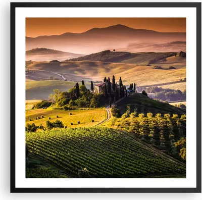 Produktbild von Gerahmtes Poster - Schwarzer Rahmen - Landwirtschaft Bauernhof Toskana Weinberg - 60x60 cm - Wand Bild - Wanddeko - Wandbilder - Wandposter - Bilderrahmen - Bilder - Kunstdruck - P2BAC60x60-2465