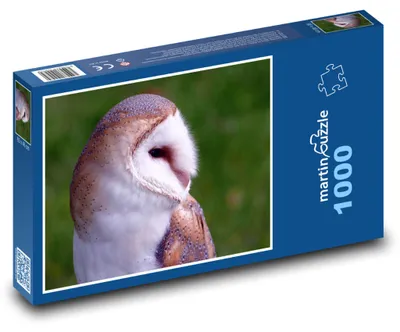Zdjęcie produktu dla Puzzle 1000 Płomykówka wypatrująca zdobyczy - martinpuzzle