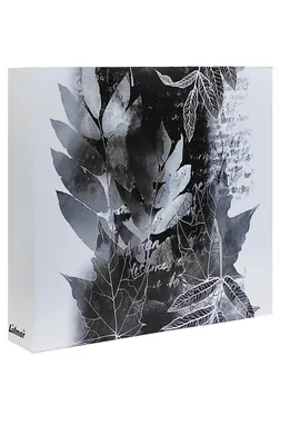 Zdjęcie produktu dla Album KPR kieszeniowy na 500 zdjęć 10x15 cm.; segregator TREE biały