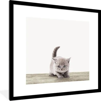 Produktbild von MuchoWow® Gerahmtes Poster Kätzchen - Katze - Haustiere - Jungen - Kinder - Mädchen 40x40 cm - Poster mit Schwarzem Bilderrahmen Wandposter Rahmen Foto Bilder - Poster - Plakat im Rahmen