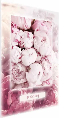 Produktbild von Posterpapier Poster - Spring Delicacy 21x30 cm Blumen b-C-0578-ao-a