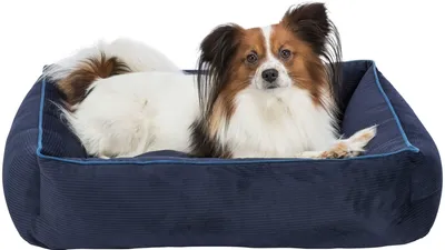 Produktbild von TRIXIE 37671, Drinnen, Hund, Polyester, 750 mm, 600 mm
