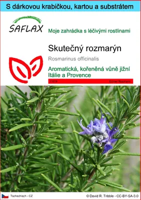 Obrázek produktu pro SAFLAX Dárková sada - Skutečný rozmarýn - Rosmarinus officinalis - 100 Semena - S dárkovou krabičkou, přepravním štítkem, dárkovou kartou a pěstebním médiem