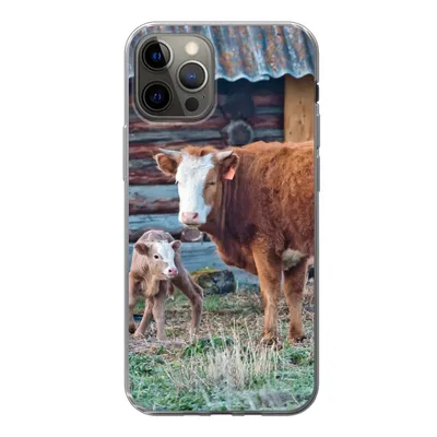 Produktbild von MuchoWow® Handyhülle Schutzhülle Hülle für iPhone 12 Pro Kuh - Stall - Gras - Kalb Silikon Softcase Handy Hülle - Abdeckung