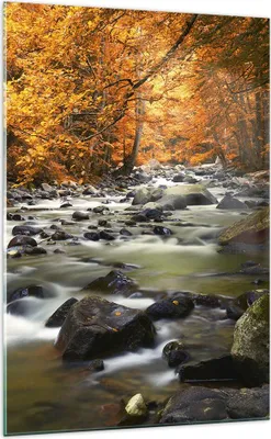 Produktbild von Bilder auf glas - Einteilig - Stream Herbst Forrest Berg - 70x100cm - Glasbilder - Wandbilder - Bilder - Wanddekoration aus Glas - Glas Bilder - Wandbild auf Glas - GPA70x100-2703