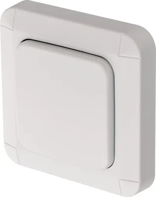Immagine prodotto di Brennenstuhl BrematicPRO AP-Wandtaster IP44
