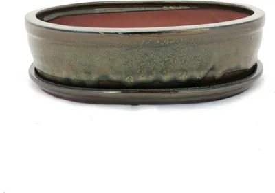 Image de bol bonsaï avec soucoupe taille 5 - brun olive - ovale - modèle o7 - l 31cm - b 24cm - h 7,5 cm