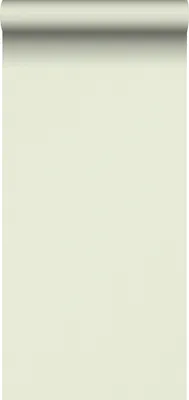 Produktbild von Sanders & Sanders Tapete Streifen Grün 53 cm x 10.05 m