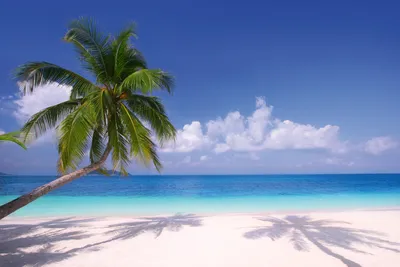 Produktbild von Fototapete - Beach 375x250cm - Vliestapete