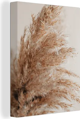 Zdjęcie produktu dla MuchoWow® - Obraz na płótnie - Trawa - Rośliny - Natura - Trawa pampasowa, fototapeta, dekoracja ścienna, obrazy do salonu, 60x80cm