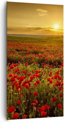 Produktbild von Bild auf Leinwand - Leinwandbild - Mohn Blume Wiese - 65x120cm - Wand Bild - Wanddeko - Wandbilder - Leinwanddruck - Bilder - Kunstdruck - Wanddekoration - Leinwand bilder - Wandkunst - PA65x120-3643