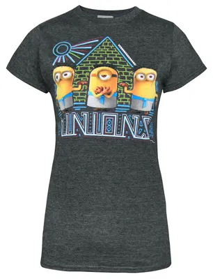 Produktbild von Minions offizielles Herren Egyptian T-Shirt NS4834 (M) (Anthrazit)