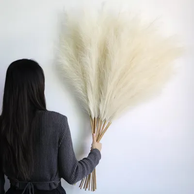 Obrázok produktu pre Umelá pampová tráva 115 cm, 12 ks, béžová, do vázy