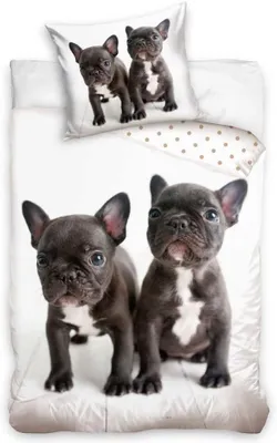 Produktbild von Komplettset für Kinderbettwäsche aus Baumwolle mit Bulldoggenmotiv, Bettbezug 140 x 200 cm + Kissenbezug 65 x 65 cm