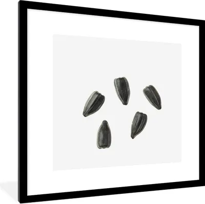 Produktbild von MuchoWow® Gerahmtes Poster Schwarze Sonnenblumenkerne auf weißem Hintergrund 40x40 cm - Poster mit Schwarzem Bilderrahmen Wandposter Rahmen Foto Bilder - Poster - Plakat im Rahmen