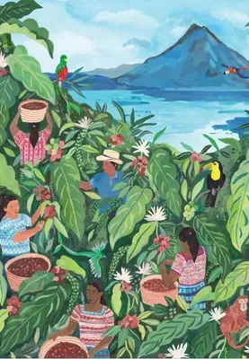 Immagine prodotto di Pieces & Peace - Puzzle Guatemala - 1000 pezzi