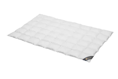 Produktbild von Daunendecke 135x200 cm 90 % Daunen  Medium  Bettdecke Steppdecke Daunen SPESSARTTRAUM BRONZE