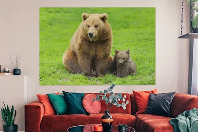 Produktbild von OneMillionCanvasses® - Leinwandbilder - 150x100 cm, Bär - Gras - Junge, Wandbilder Kunstdruck Wanddekoration
