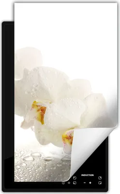Produktbild von DarHaus Herdabdeckplatte 1 teilig 30x52 cm Anti Rutsch Matte Aufrollbar, weiß - Orchidee
