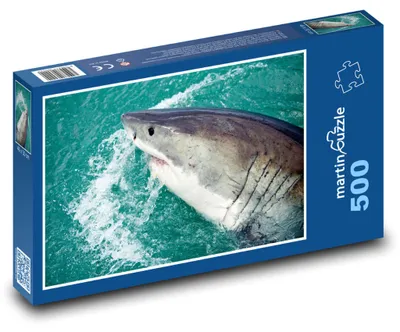 Obrázok produktu pre martinpuzzle - Puzzle 500 - Žralok