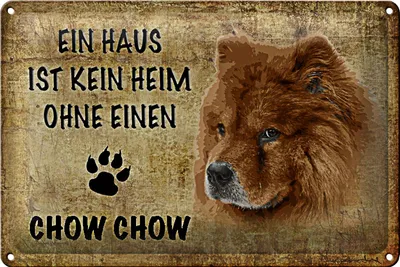 Produktbild von Blechschild Spruch 30x20cm Chow Chow kein Heim ohne Hund