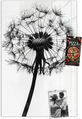 Produktbild von Magnettafel 40x60cm Pinnwand Whiteboard beschreibbar - Pusteblume
