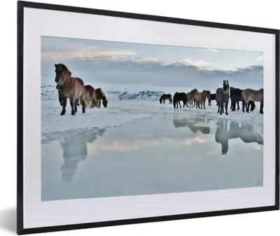 Produktbild von MuchoWow® Gerahmtes Poster Pferde - Eis - Schnee 60x40 cm - Poster mit Schwarzem Bilderrahmen Wandposter Rahmen Foto Bilder - Schlafzimmer - Plakat in Rahmen - Drucken
