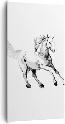 Produktbild von Bild auf Leinwand - Leinwandbild - Einteilig - Pferd Galopp Tier - 65x120cm - Wand Bild - Wanddeko - Wandbilder - Leinwanddruck - Bilder - Wanddekoration - Leinwand bilder - Wandbild - PA65x120-5117