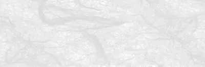 Produktbild von Strohseide "weiss" 5 Bögen á 50 x 70 cm, 25 g/qm