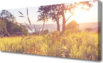 Produktbild von Tulup Leinwand-Bilder 125x50 Wandbild Canvas Kunstdruck Wiese Gras Baum Natur