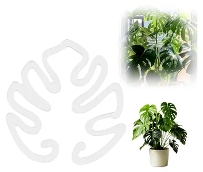 Produktbild von Pflanzenstütze für Monstera und Stauden