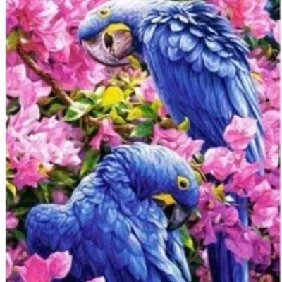 Imagen del producto de Pintura por números: Guacamayo morado en flores