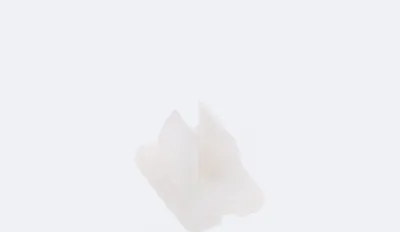 Produktbild von Befestigungsclip für LED-Streifen Neon 24/48V DC 6x12 mm NFLEX6 Transparent